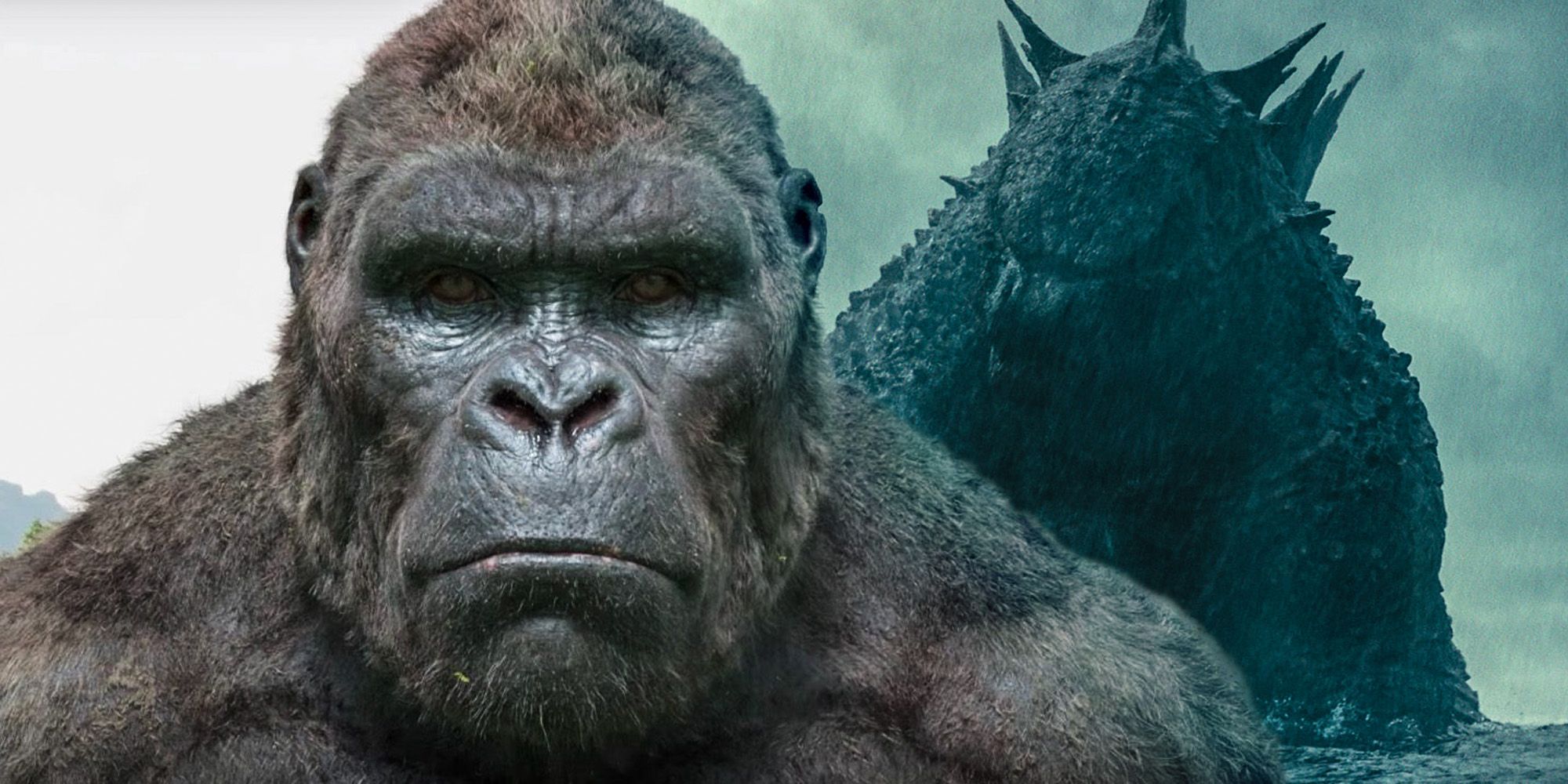 Why Godzilla's First Fight With Kong Is So Controversial