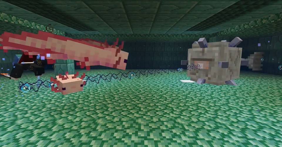 How To Breed And Feed Axolotls In Minecraft Screen Rant How To Breed And Feed Axolotls In Minecraft Screen Rant