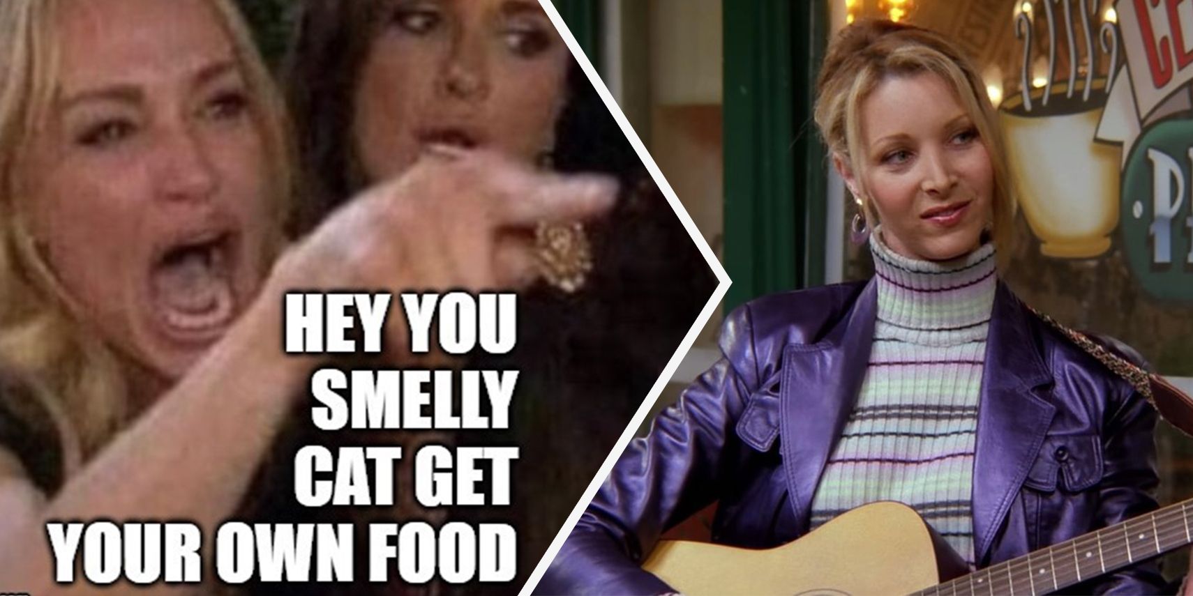 Friends 10 Best Smelly Cat Memes Screenrant