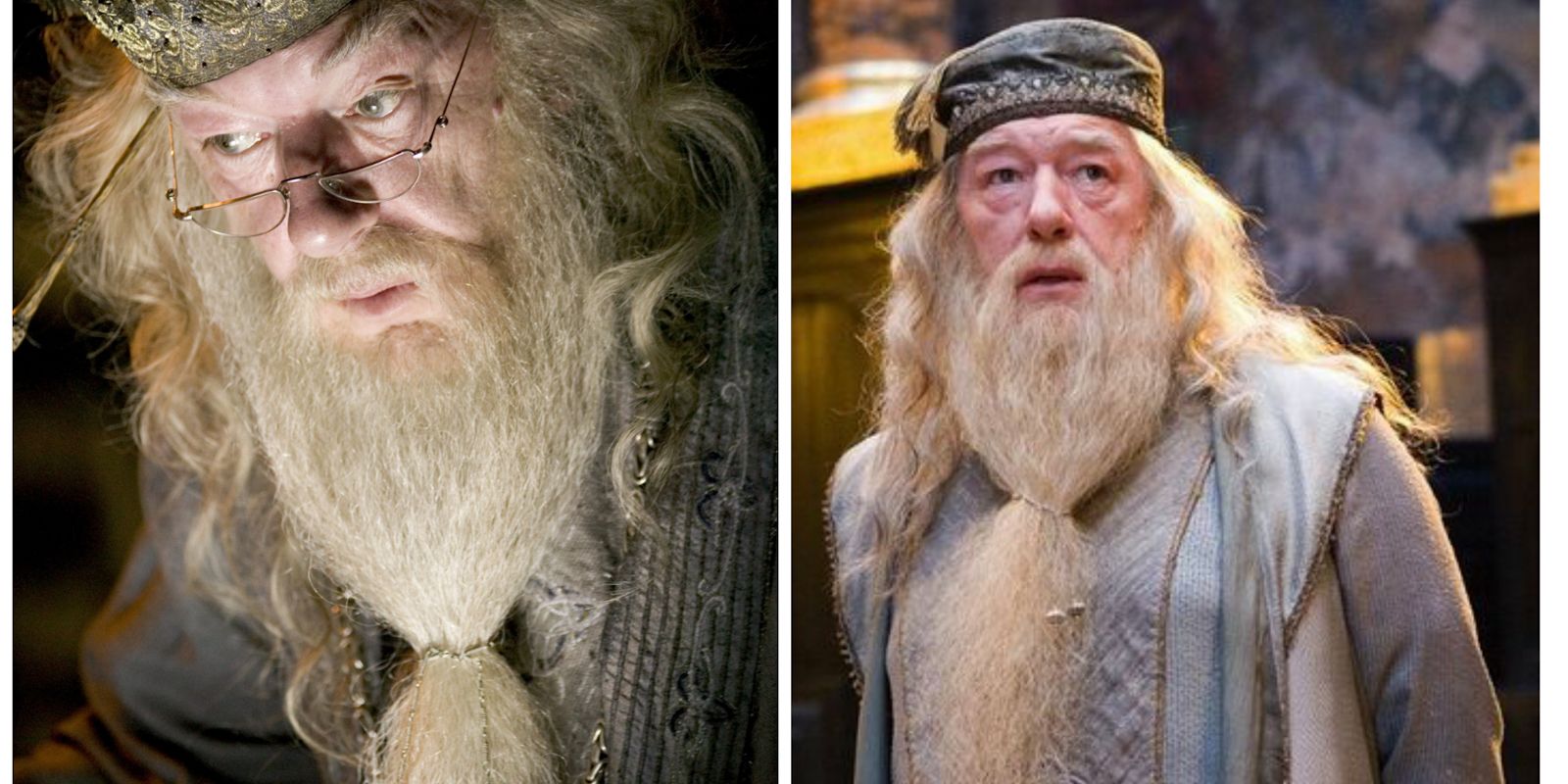 Harry Potter: Why Dumbledore Should Have Been The Main Character (& 5 ...