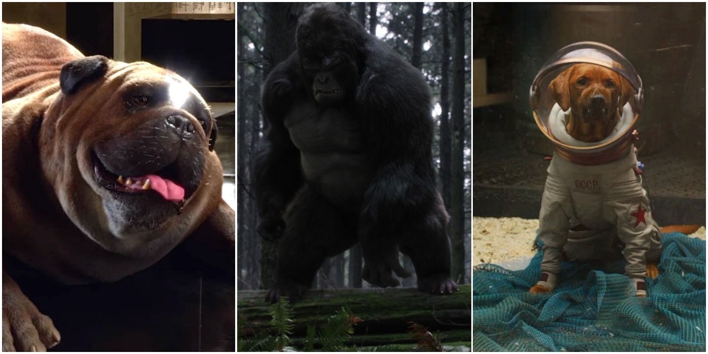 10 Famous Comic Book Animals That Were Adapted Into Live Action