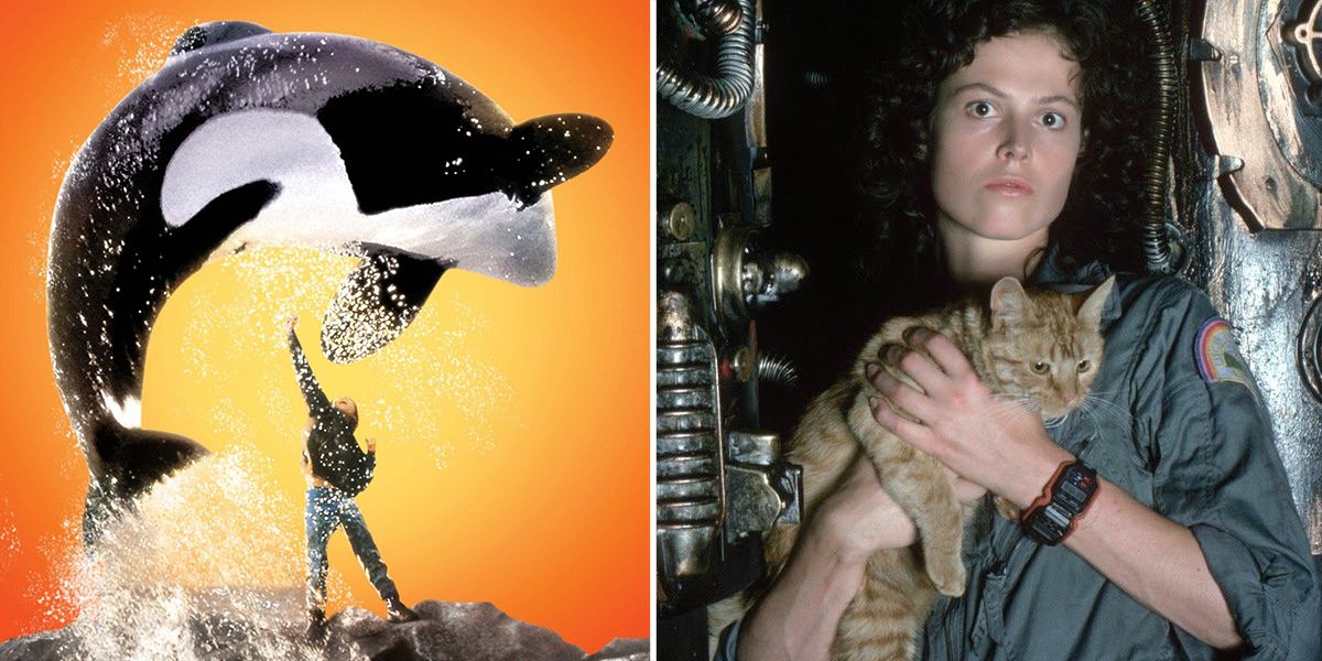 10 Animals Actors Who Deserved Oscar Nominations