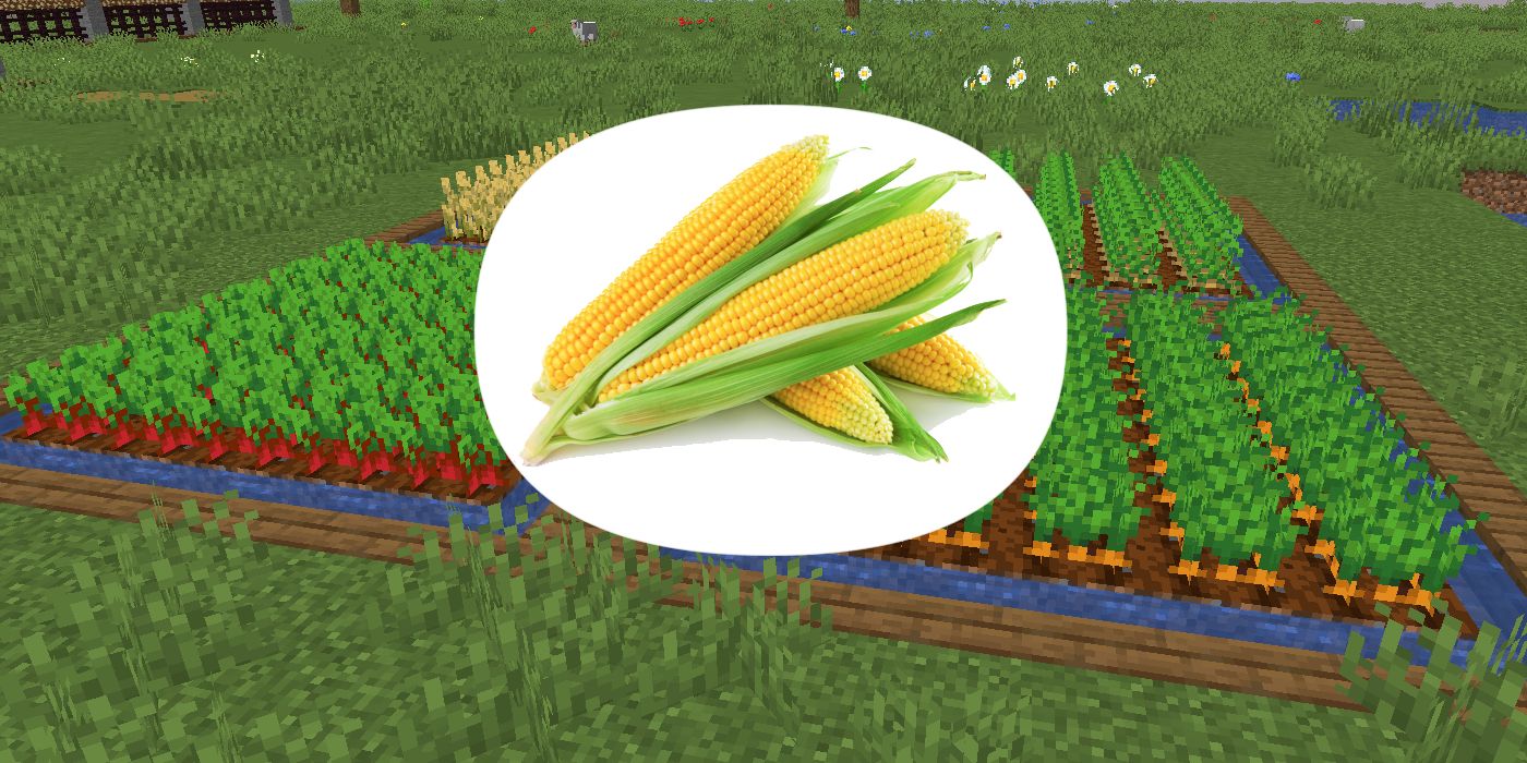 Crops Minecraft Needs To Add (& Why)