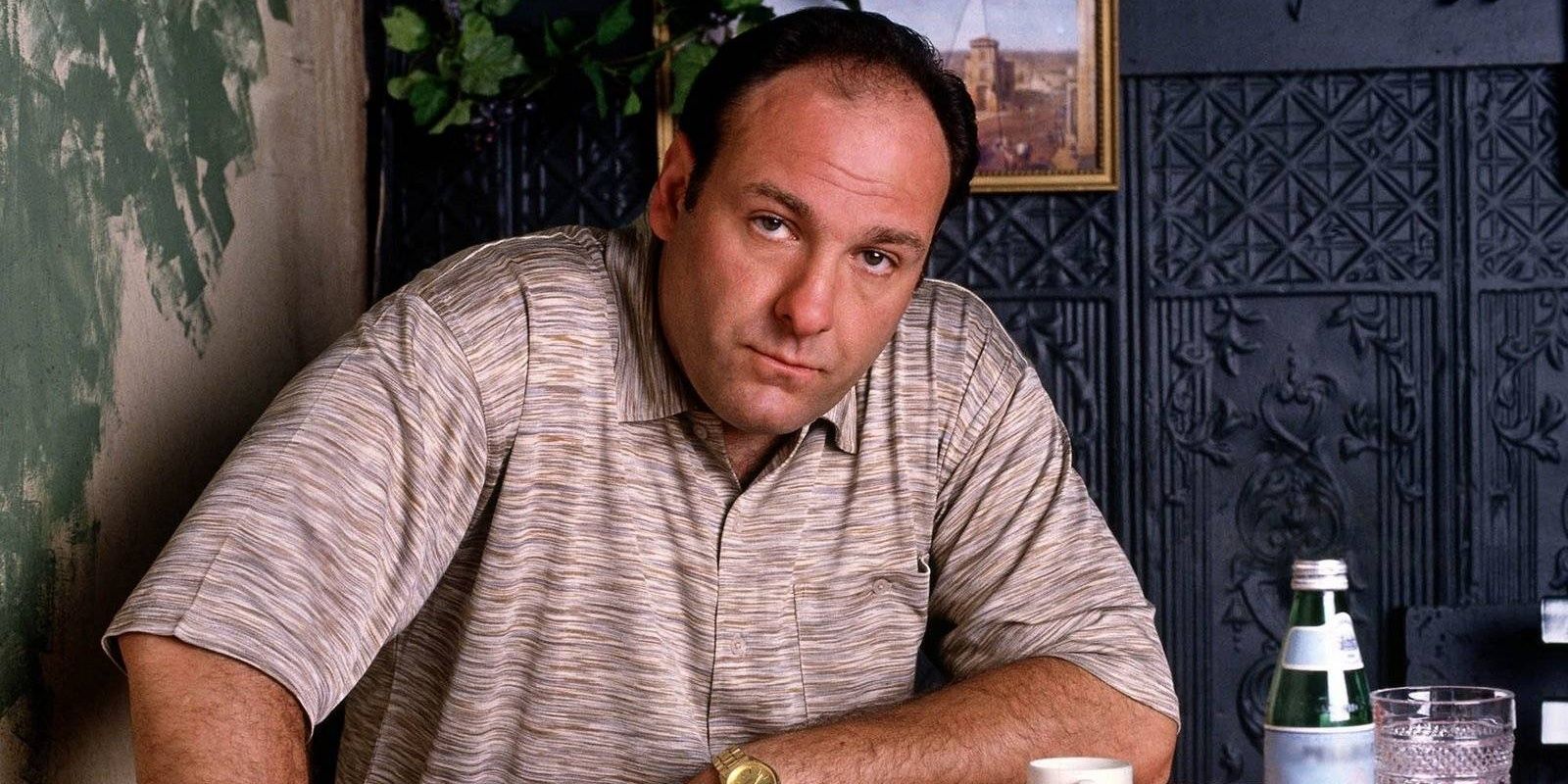 Tony Soprano The Sopranos Cropped