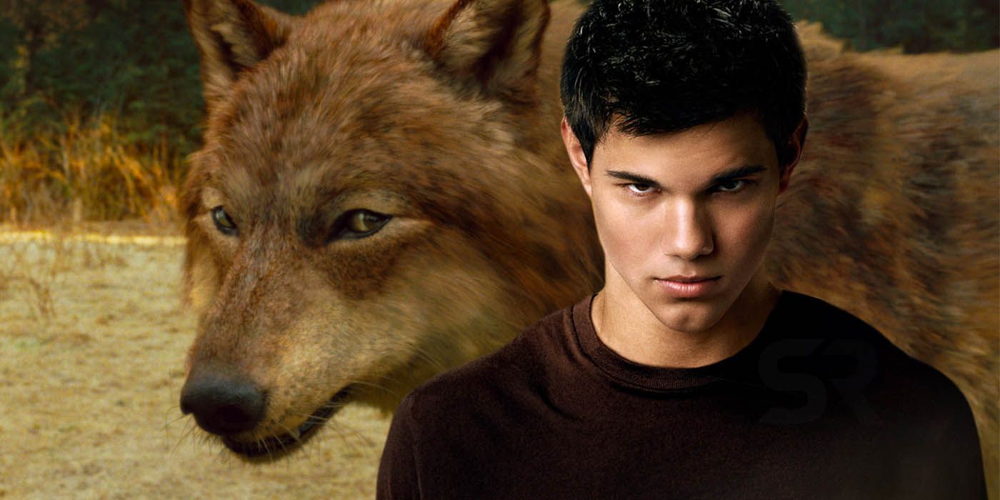 Twilight New Moon tease Jacob werewolf hint