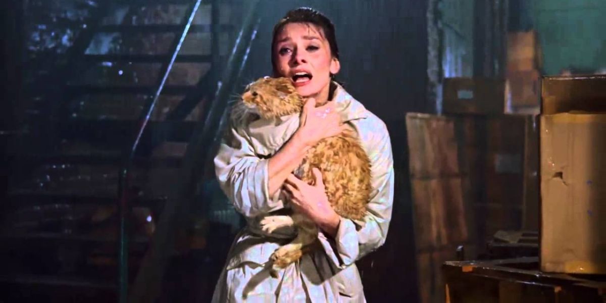 10 Animals Actors Who Deserved Oscar Nominations