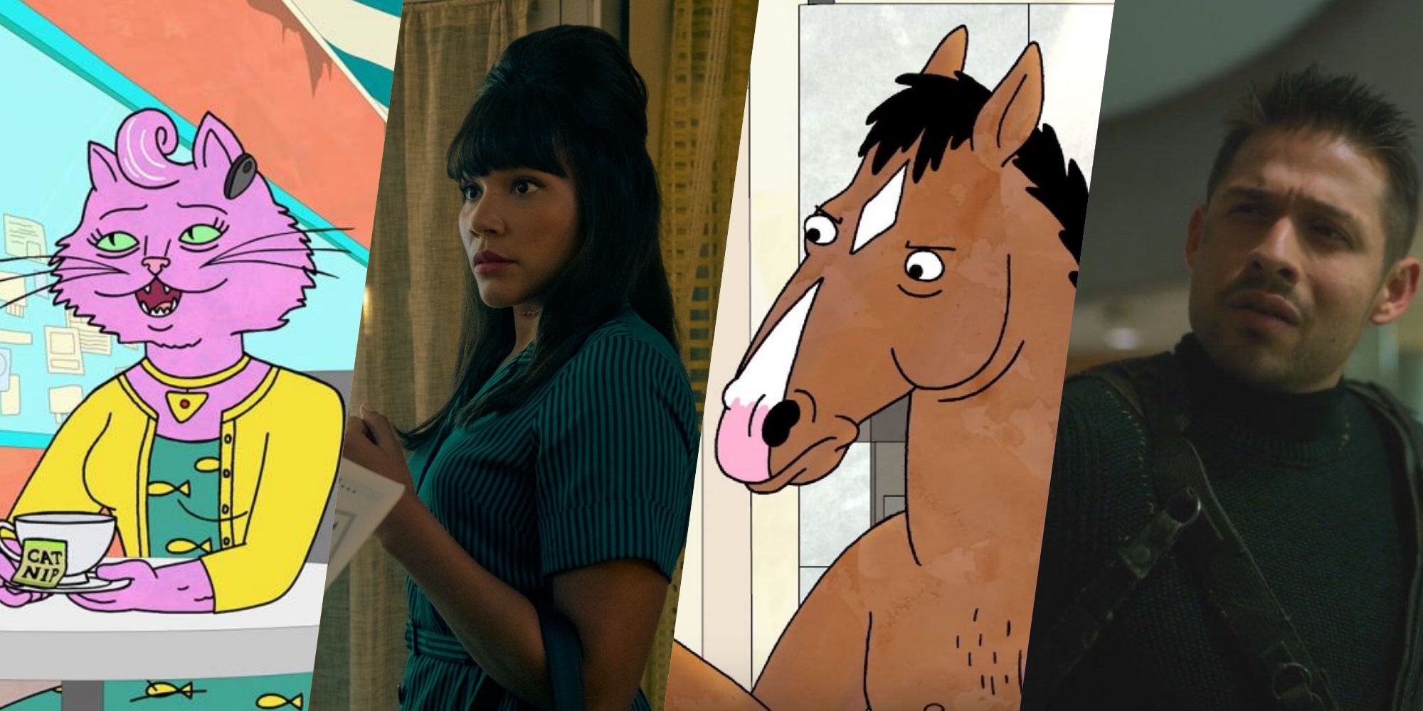 10 Bojack Horseman Characters & Their Umbrella Academy Counterparts