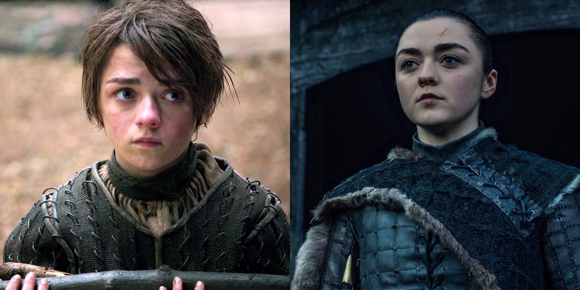 Game of Thrones: 10 Times Arya Said Everything Fans Were Thinking TV characters