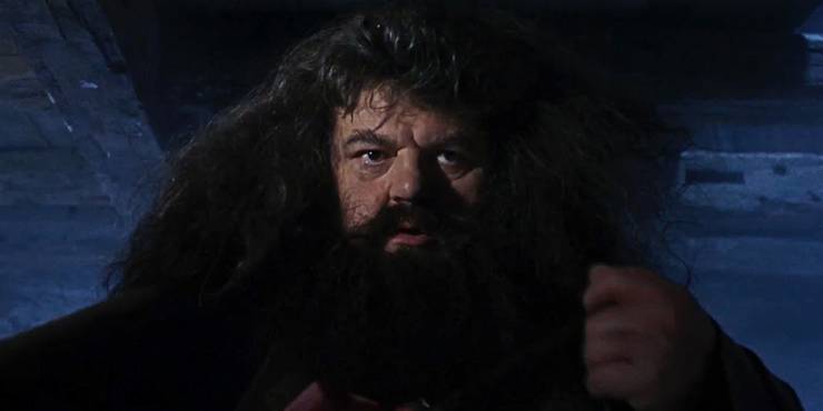 Harry Potter: Rubeus Hagrid