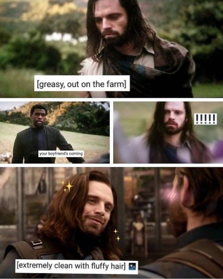 MCU's Winter Soldier: 10 Hilarious Memes That Will Have You Dying Of Laughter 18 Winter Soldier meme 5.v1.jpg?q=50&fit=crop&w=740&h=925&dpr=1