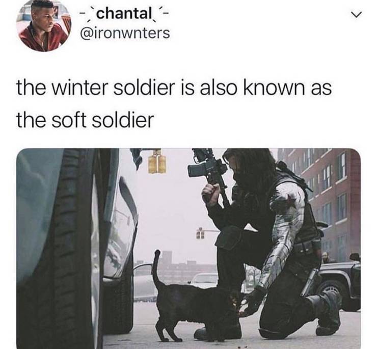 Winter Soldier meme 9.jpg?q=50&fit=crop&w=740&h=685&dpr=1