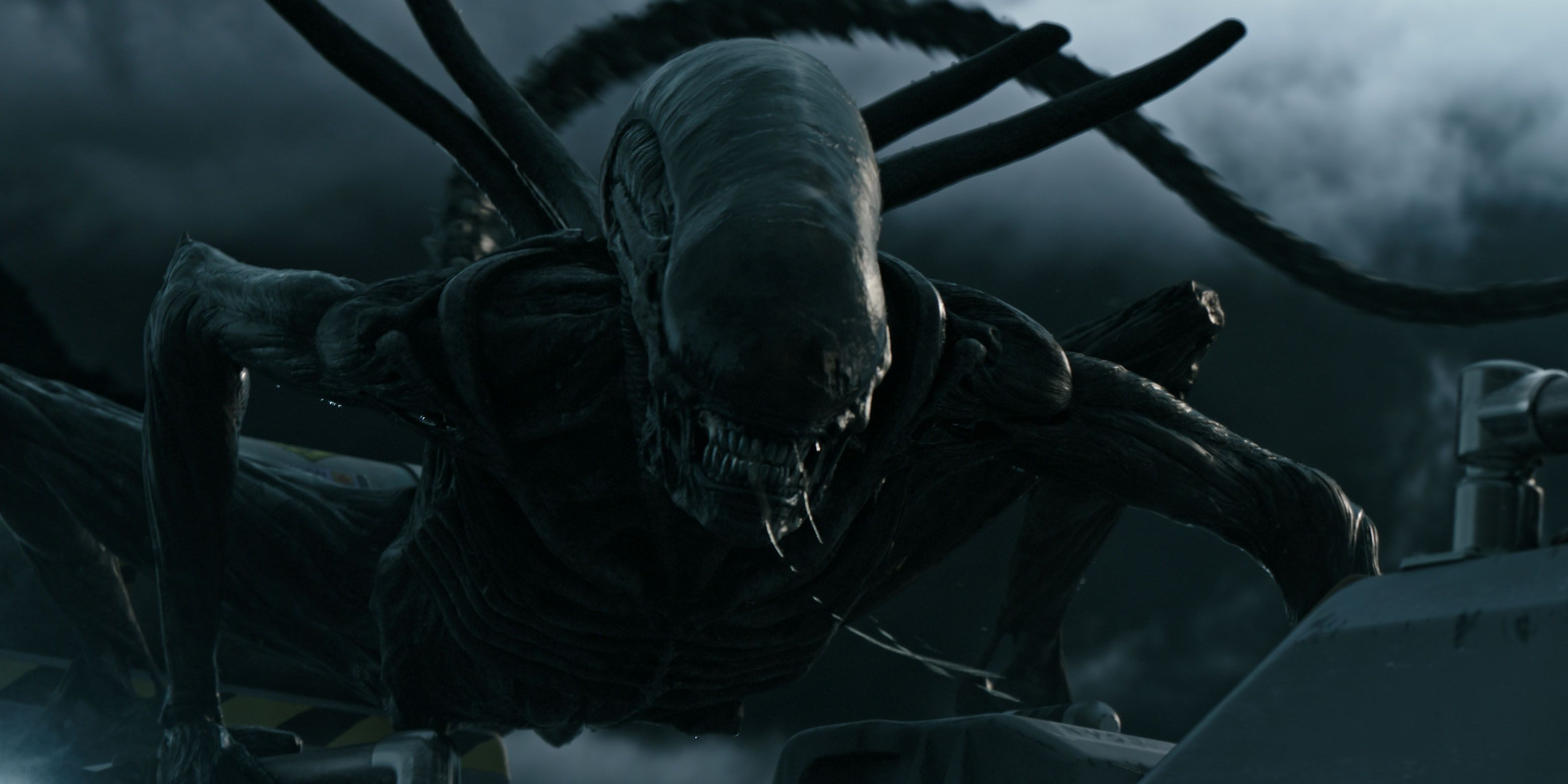 Alien 10 Important Things About The Xenomorph Designs That You Missed