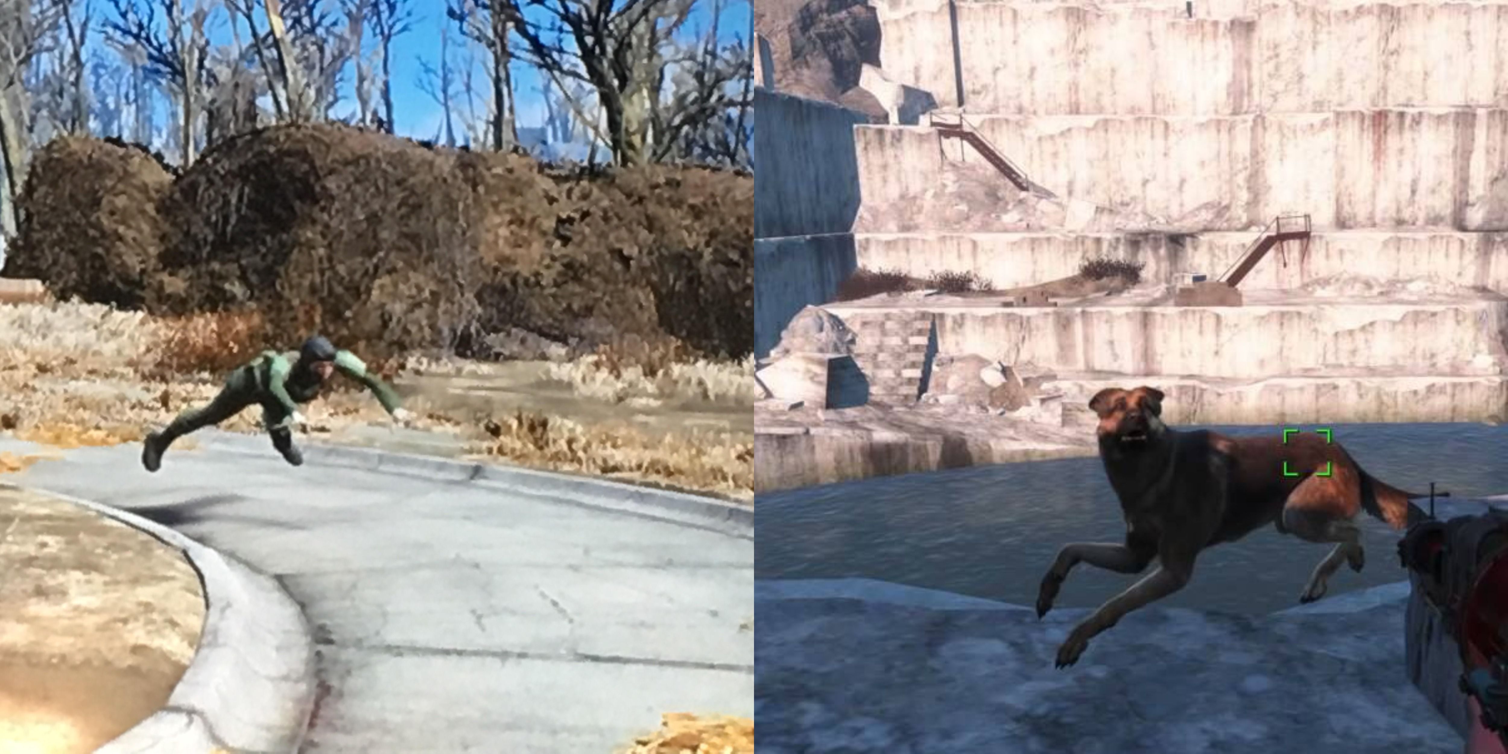 Fallout 4 дикий мутафрукт как посадить фото 108