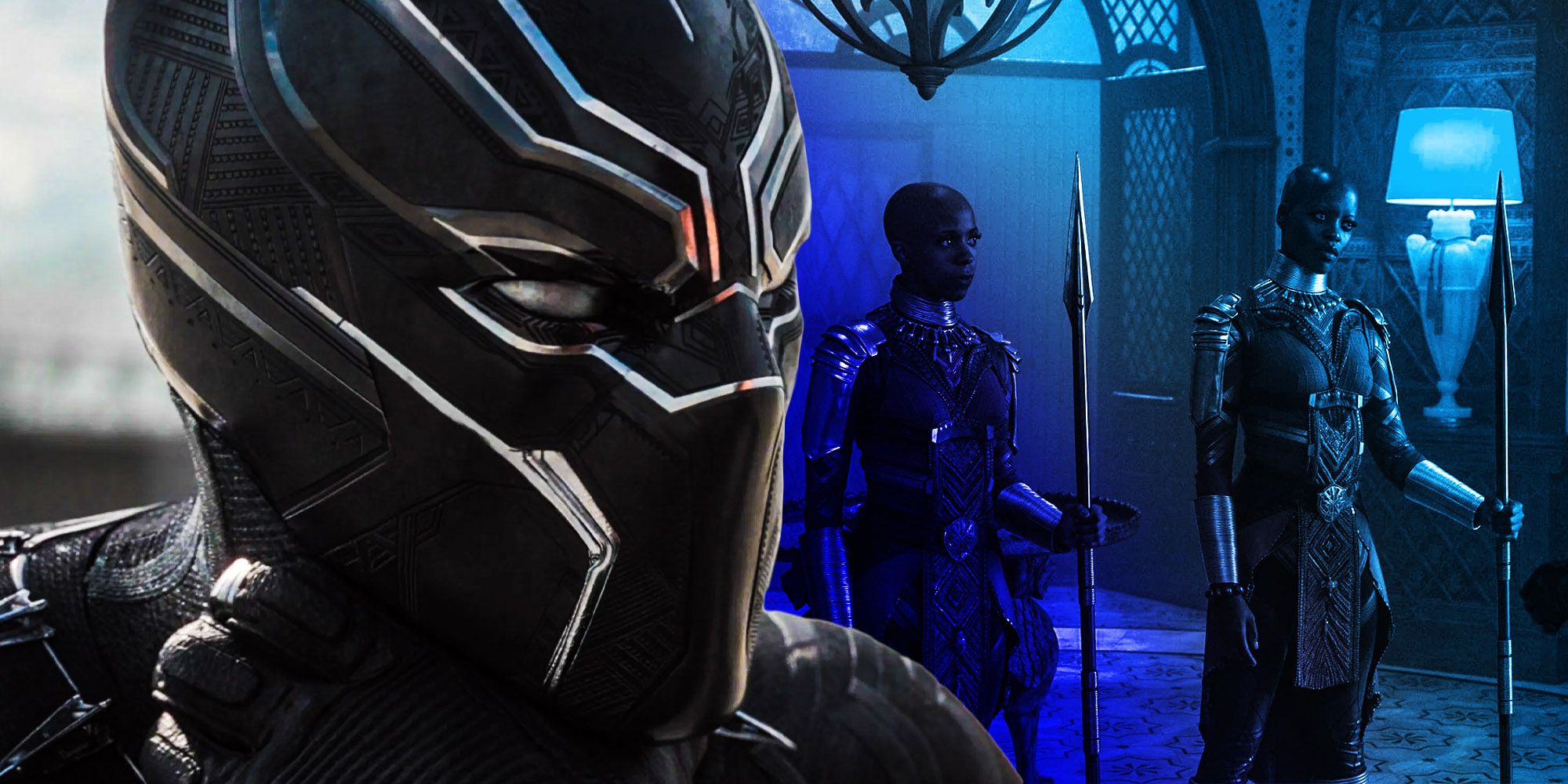 The Dora Milaje Show How Black Panther 2 Can Work Without TChalla