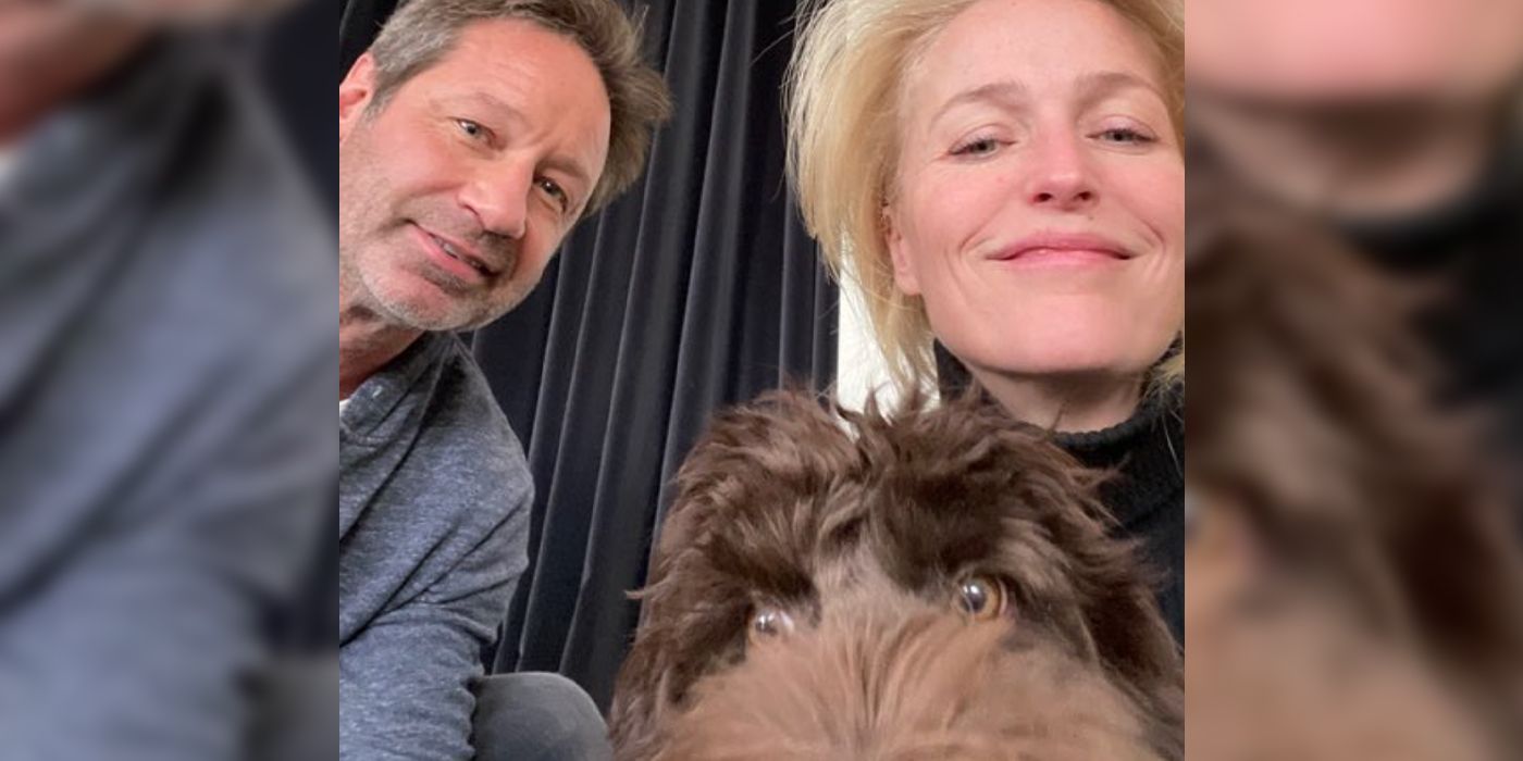Gillian Anderson takes selfies with David Duchovny and her dog