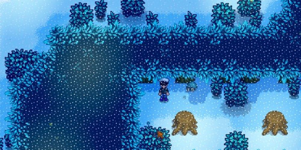 Stardew Valley 10 Things To Do In The Secret Woods
