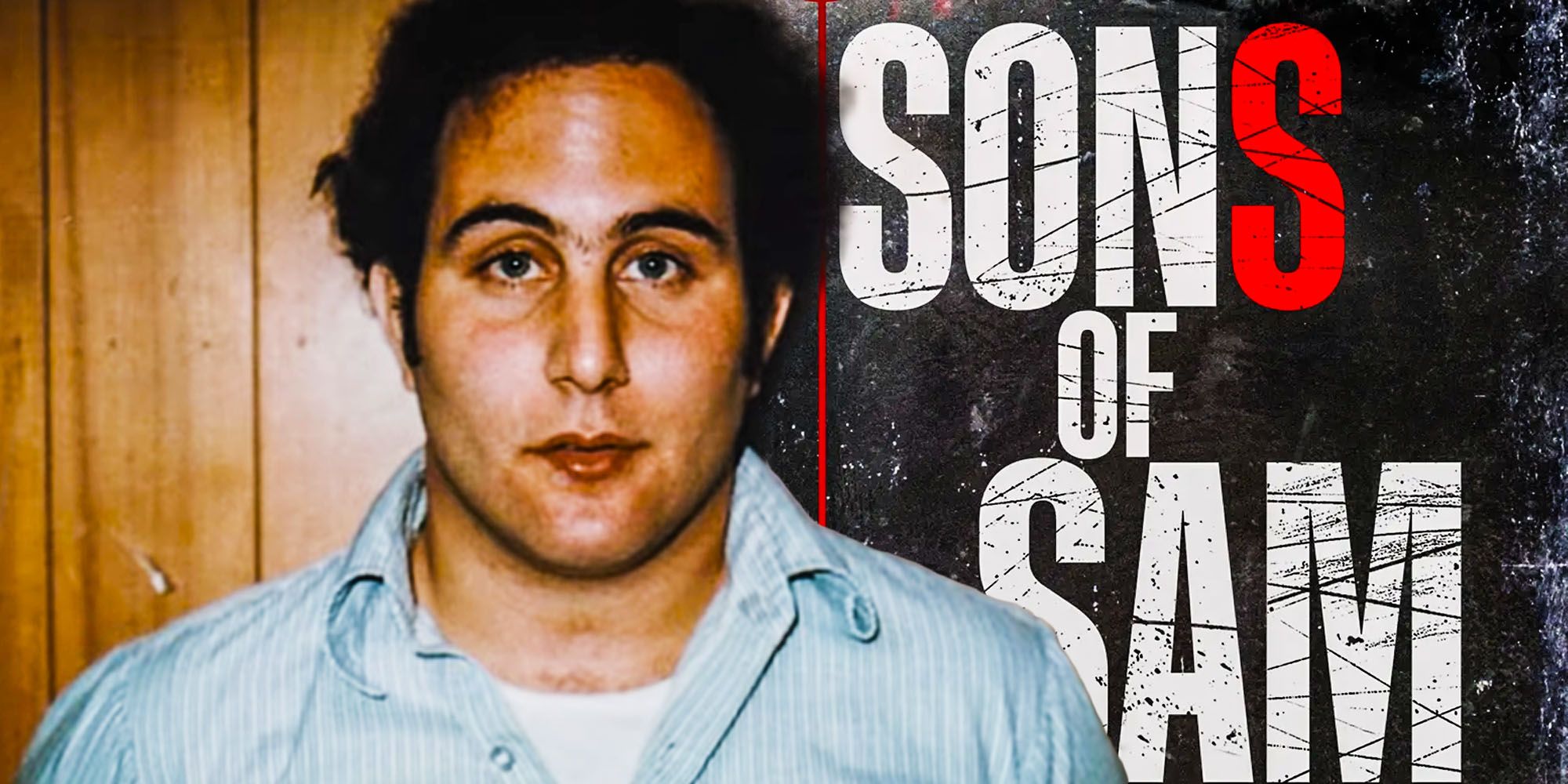 Sons of Sam Arliss Perry Murder, Killer & David Berkowitz Connection