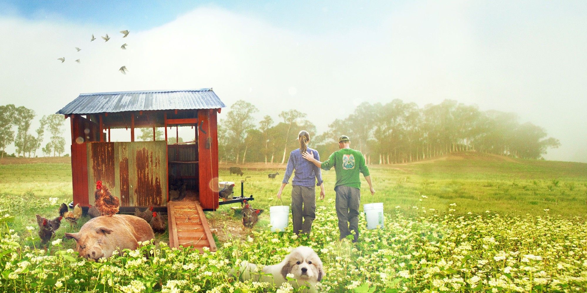 10 Best Documentaries About The Farming & Food Industry