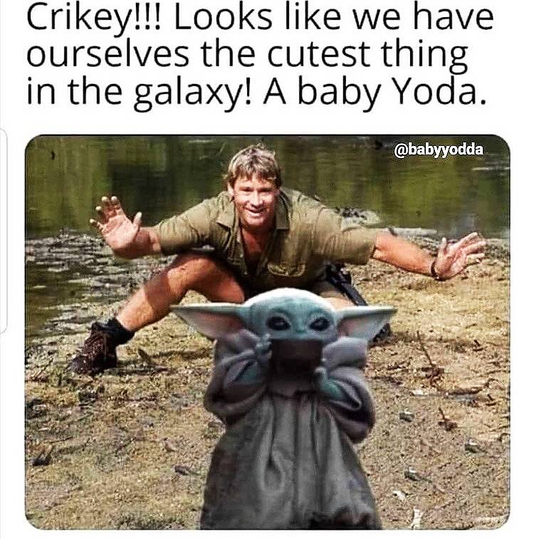 Star Wars Best Yoda Vs Grogu Memes That Are Too Good Star Wars Best Yoda Vs Grogu Memes That Are Too Good
