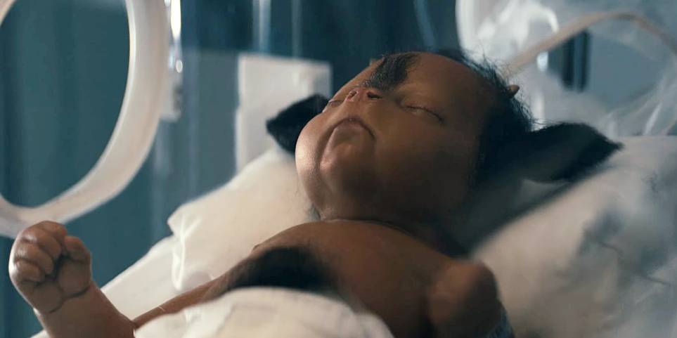 Biggest Unanswered Questions After Sweet Tooth Season 1 Biggest Unanswered Questions After Sweet Tooth Season 1