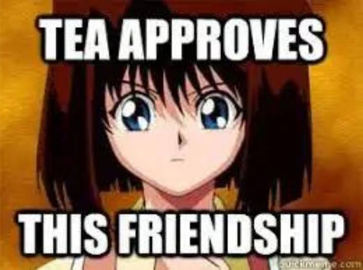 Yugioj A meme showing Tea with the words "Tea approves this friendship"