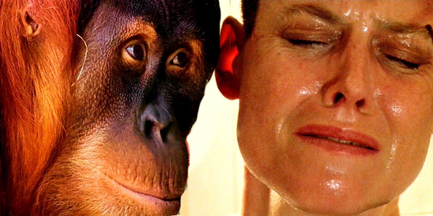 Alien The Original Xenomorph Was A Shaved Orangutan