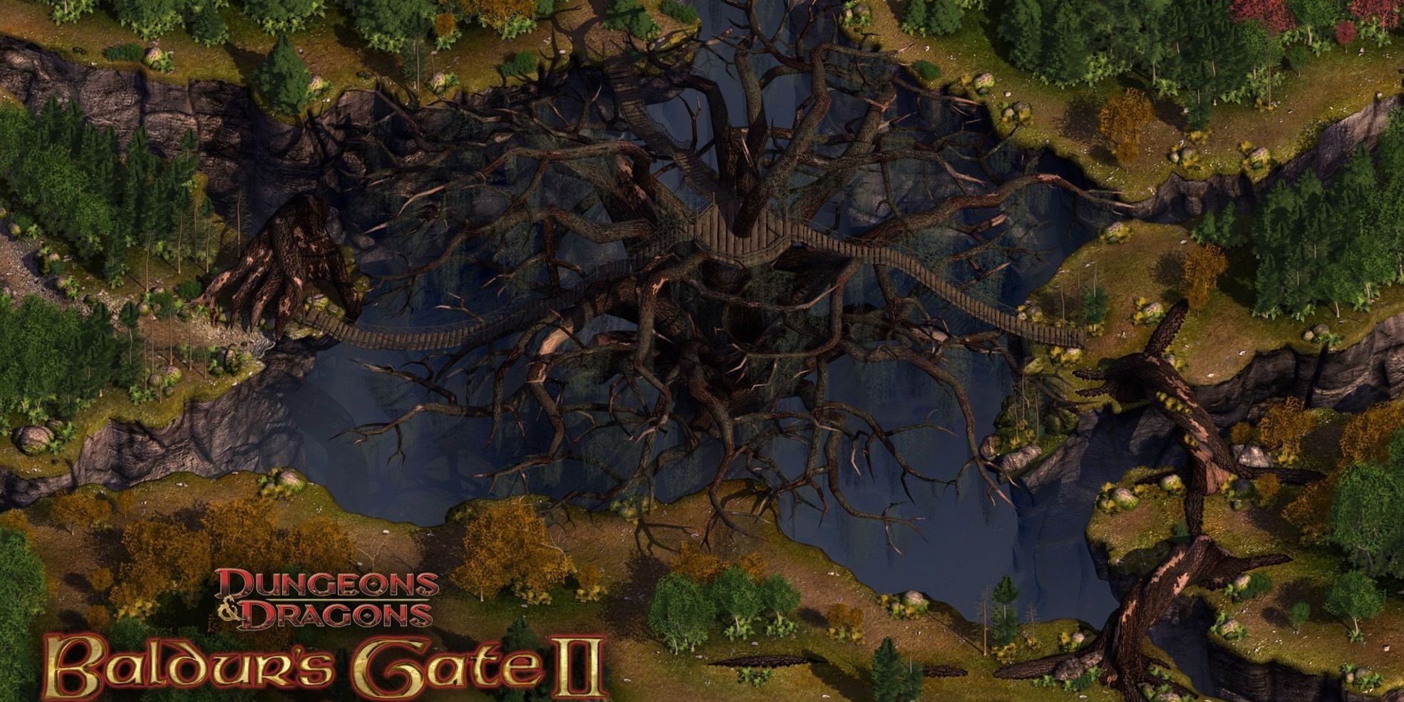 poster for Baldurs Gate II featuring a giant tree connected to different landmasses