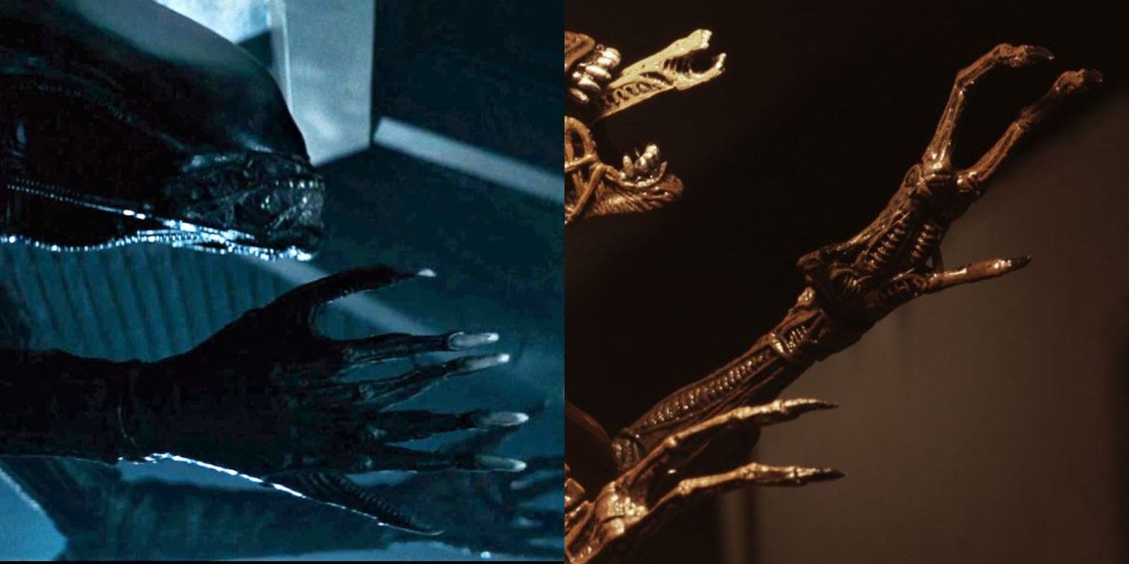 Alien 10 Important Things About The Xenomorph Designs That You Missed