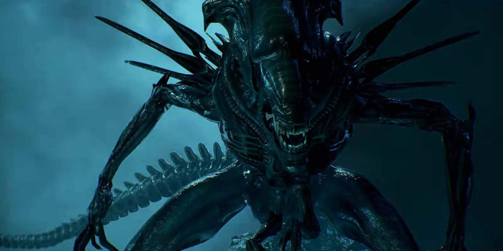 Alien 10 Important Things About The Xenomorph Designs That You Missed