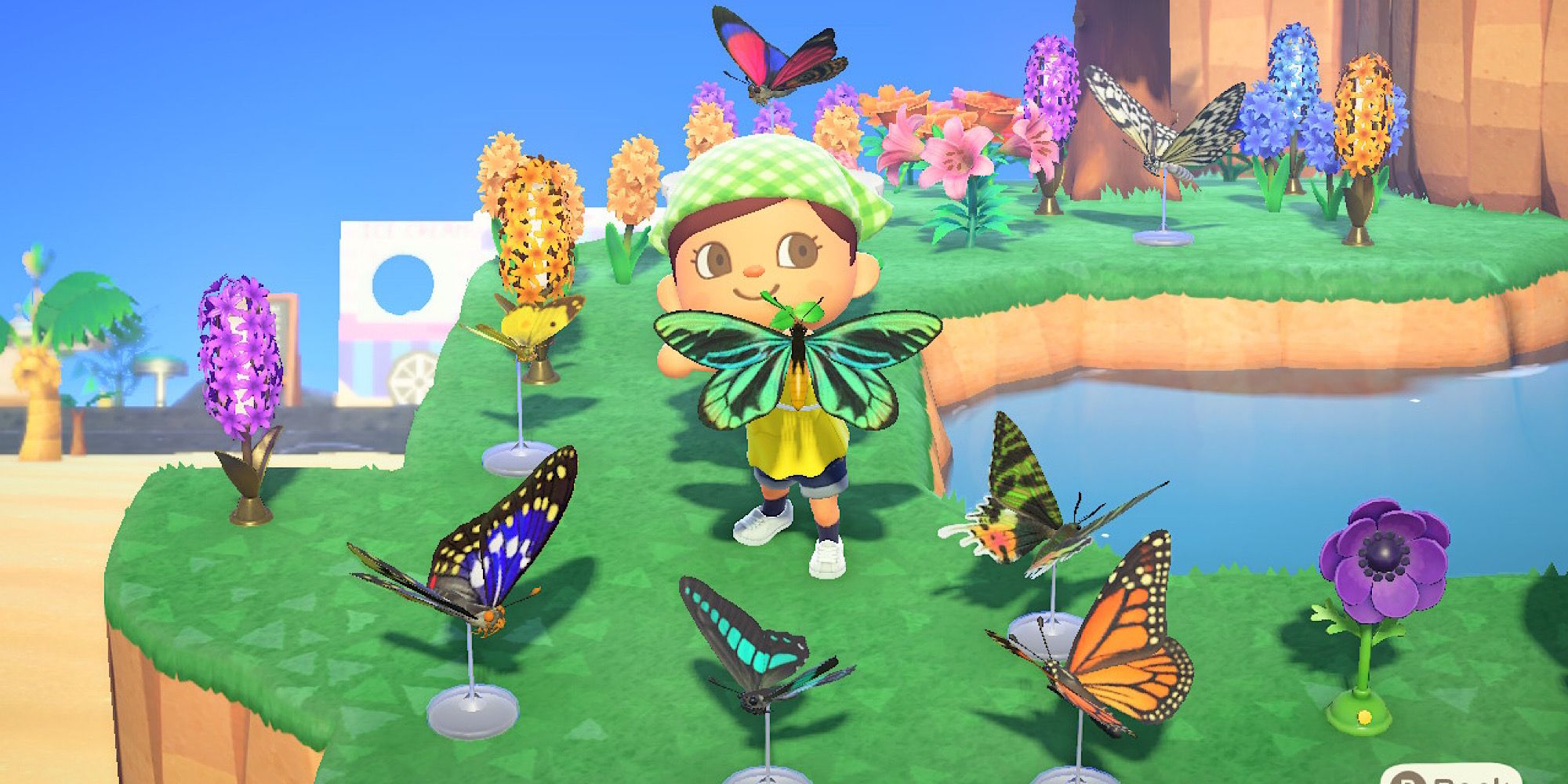 What Bugs In Animal Crossing New Horizons Are Worth The Most