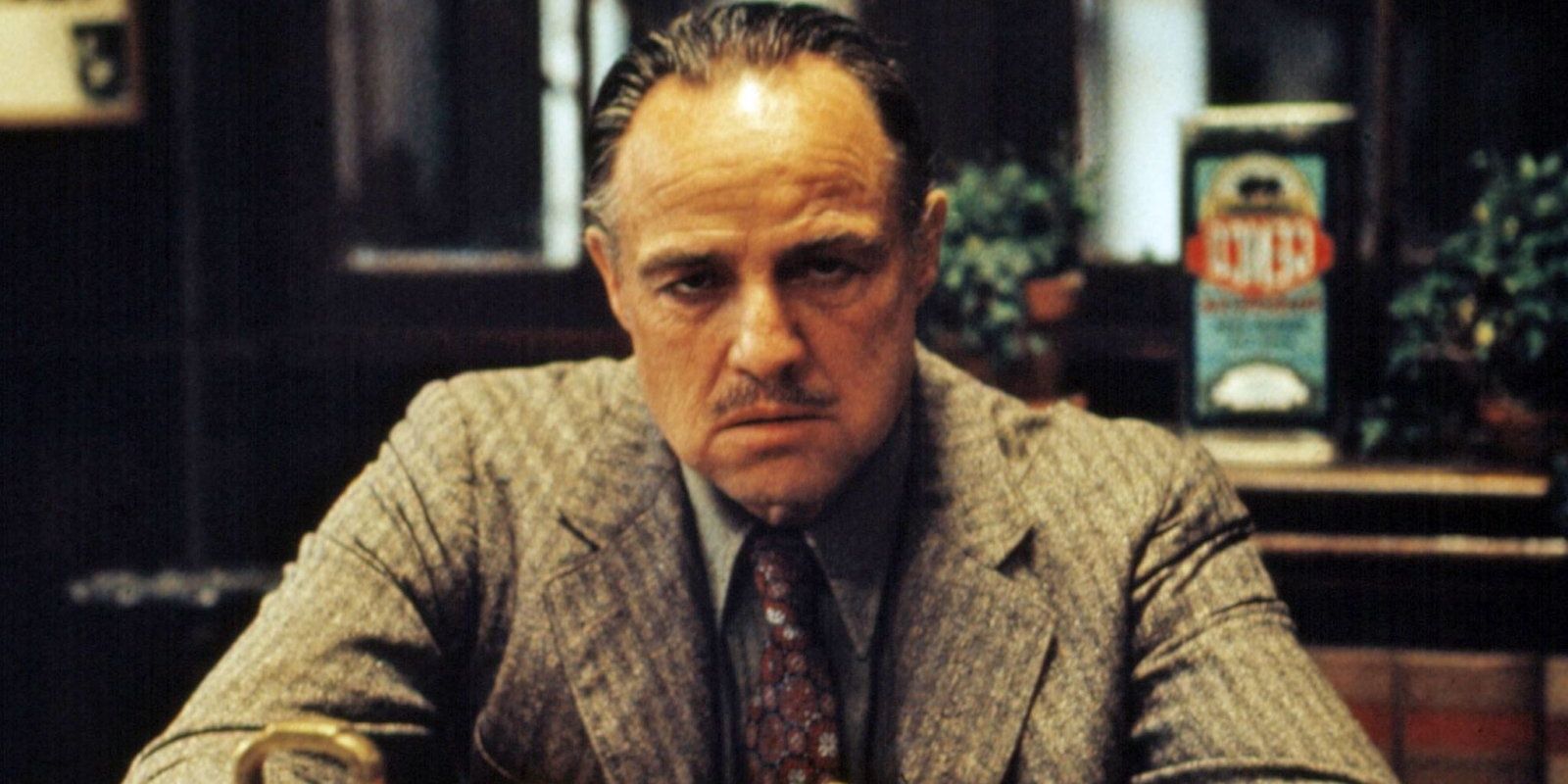 The Godfather Don Vito Corleone