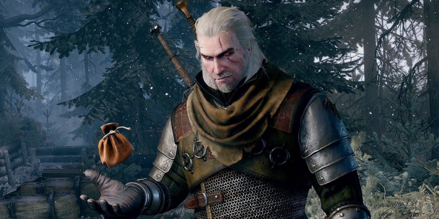 The Witcher 3 Doesn't Let Geralt Evade Taxes | Screen Rant