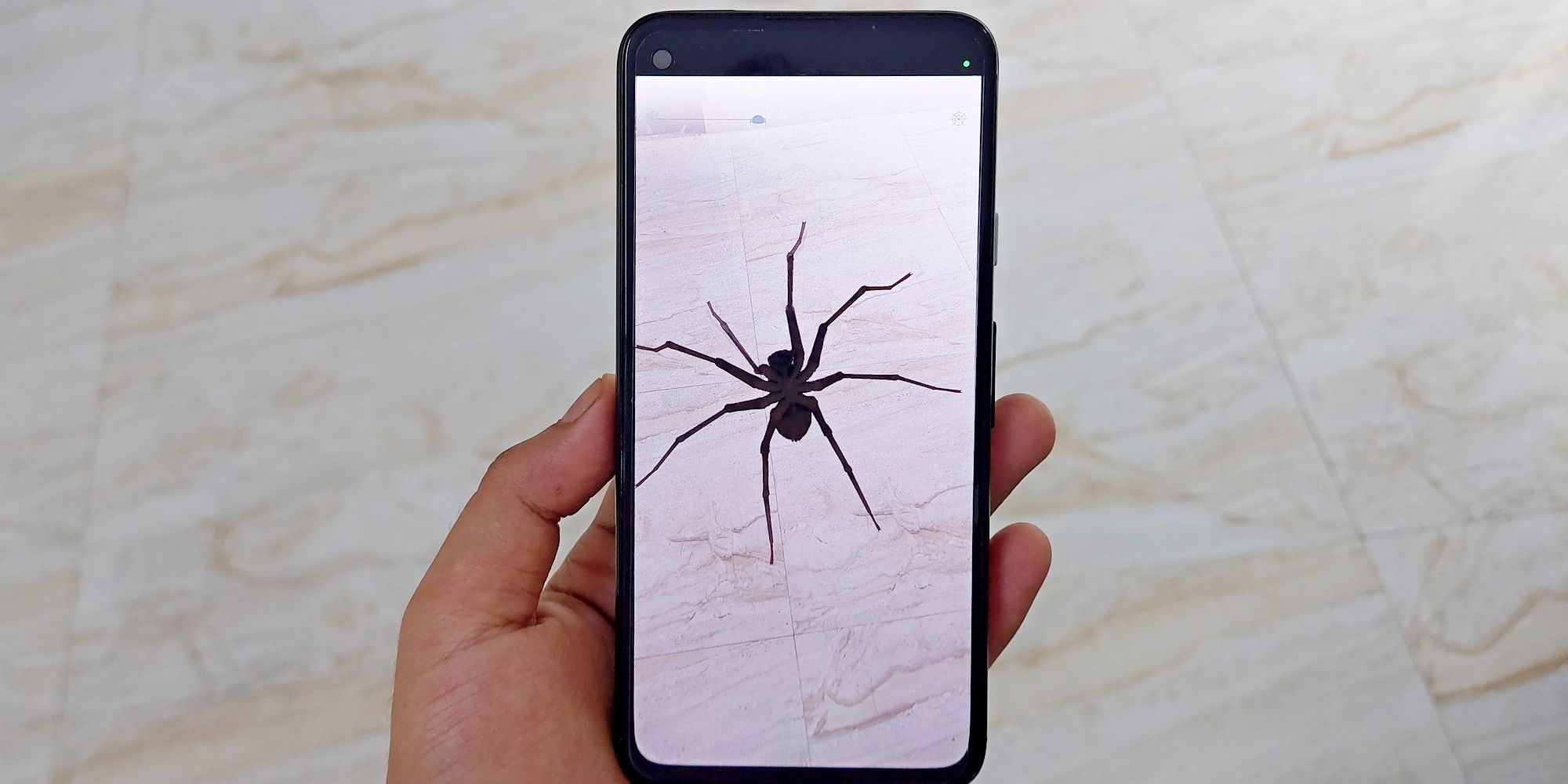 This AR App Will Help Your Arachnophobia Or Maybe Just Make It Worse