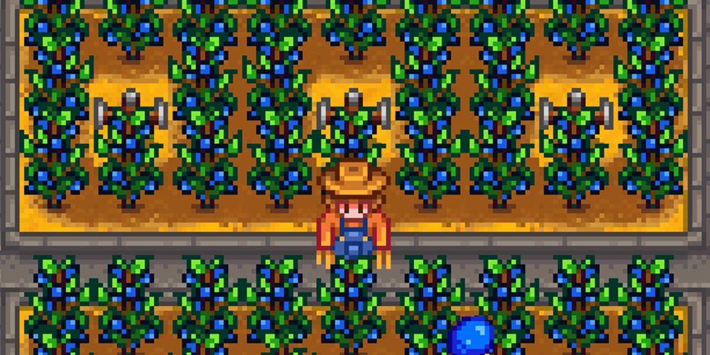 Stardew Valley 10 Best Crops To Plant