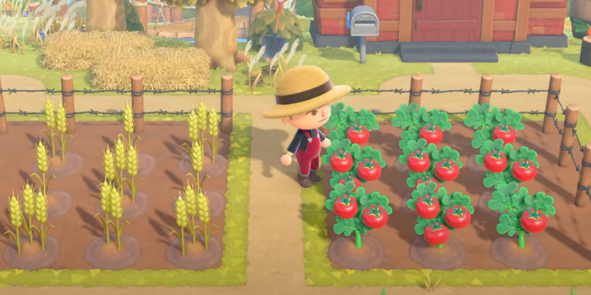 Animal Crossing Farming Every New Crop