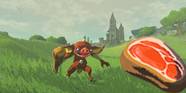 The Zelda Breath Of The Wild Meat And Spear Build Is Surprisingly 