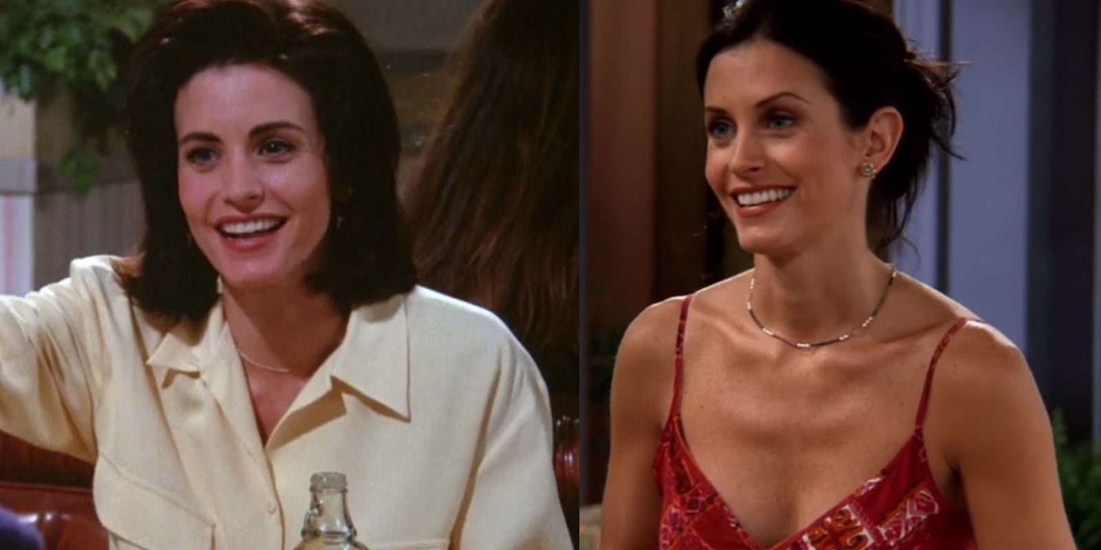 Every Actor Who Appeared On Friends & Seinfeld