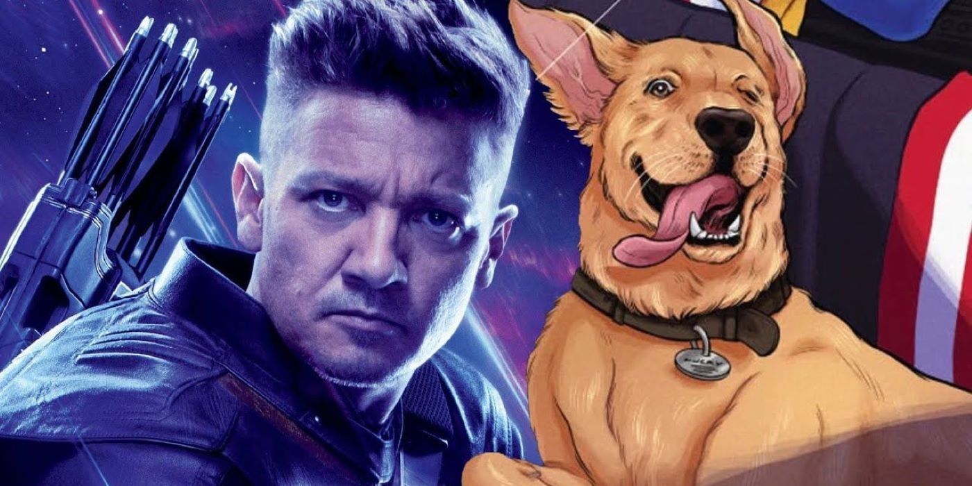 Hawkeye 10 Things Only Comic Fans Know About Lucky The Pizza Dog