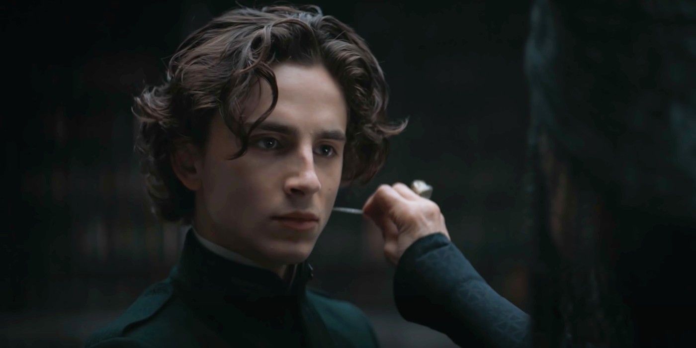 Dune 9 Unpopular Opinions About Timothée Chalamet As Paul Atreides According To Reddit