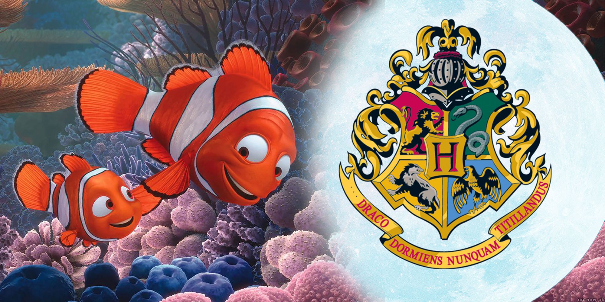 Finding Nemo Characters Sorted Into Their Hogwarts Houses