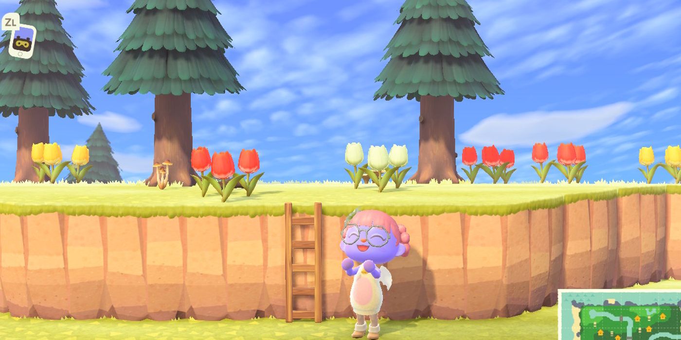 Animal Crossing How To Get Permanent Ladders Ladder Setup Kit