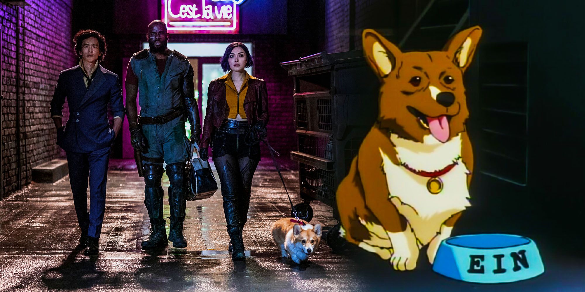 Cowboy Bebop What Happens To Ein The Dog