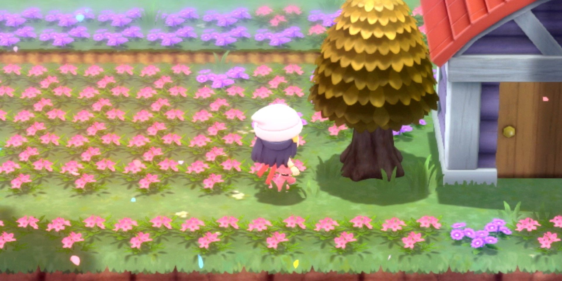 Pokemon Bdsp Failed To Fix Gen 4 S Most Annoying Feature