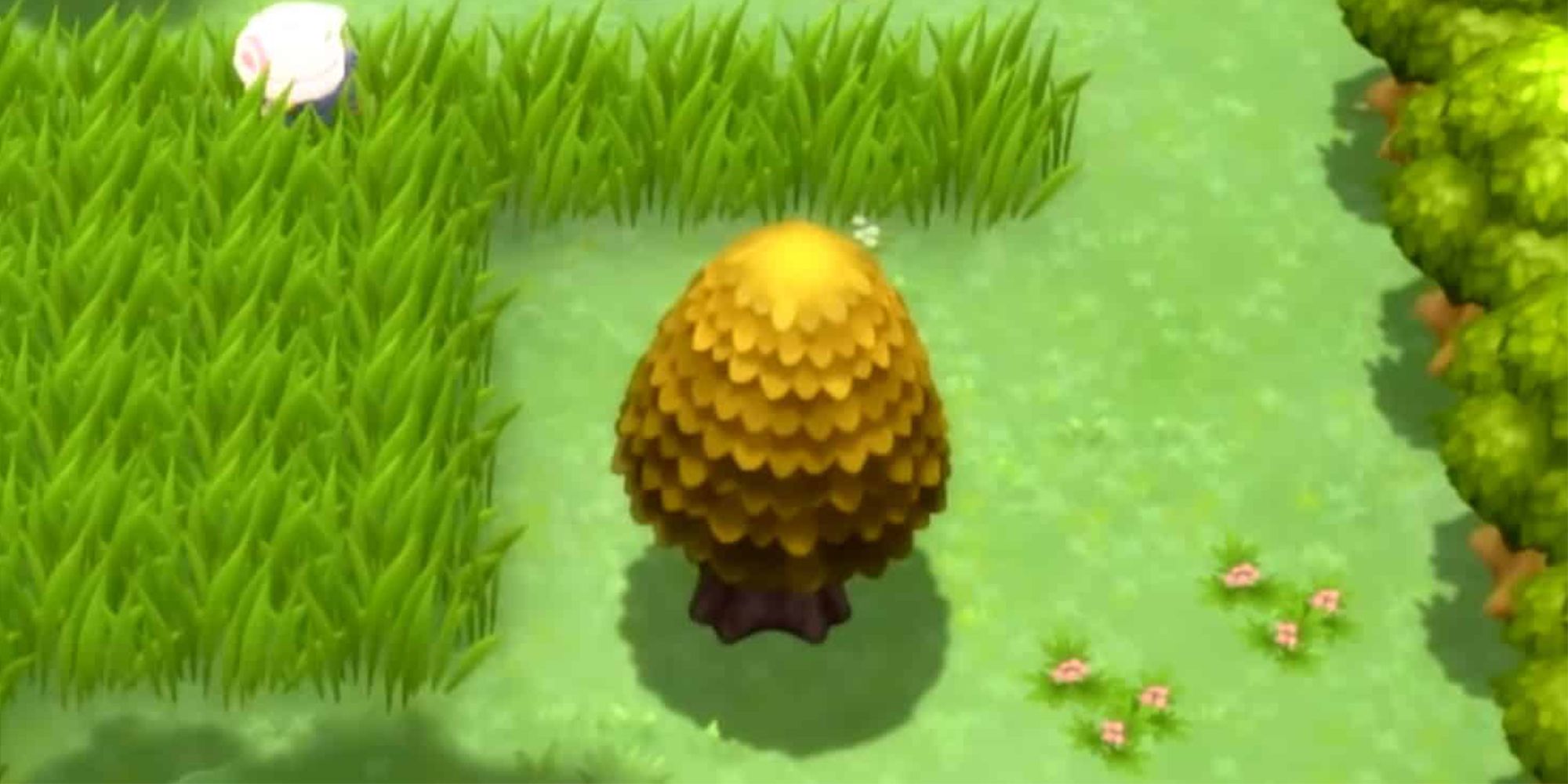 Pokémon Brilliant Diamond & Shining Pearl Honey Tree Guide