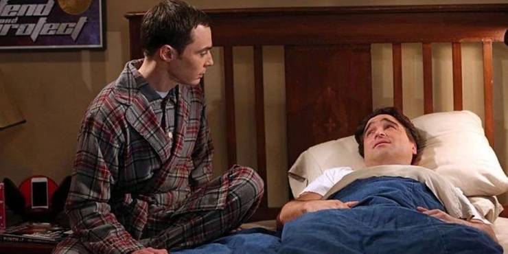 The Big Bang Theory: Best Characters In All Seasons 8 The Big Bang Theory Season 8