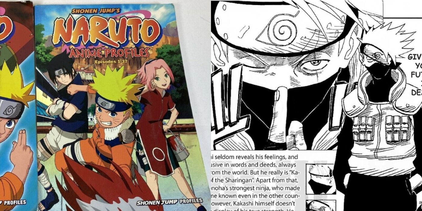 Masashi Kishimoto ARTBOOK Naruto 100 Character 