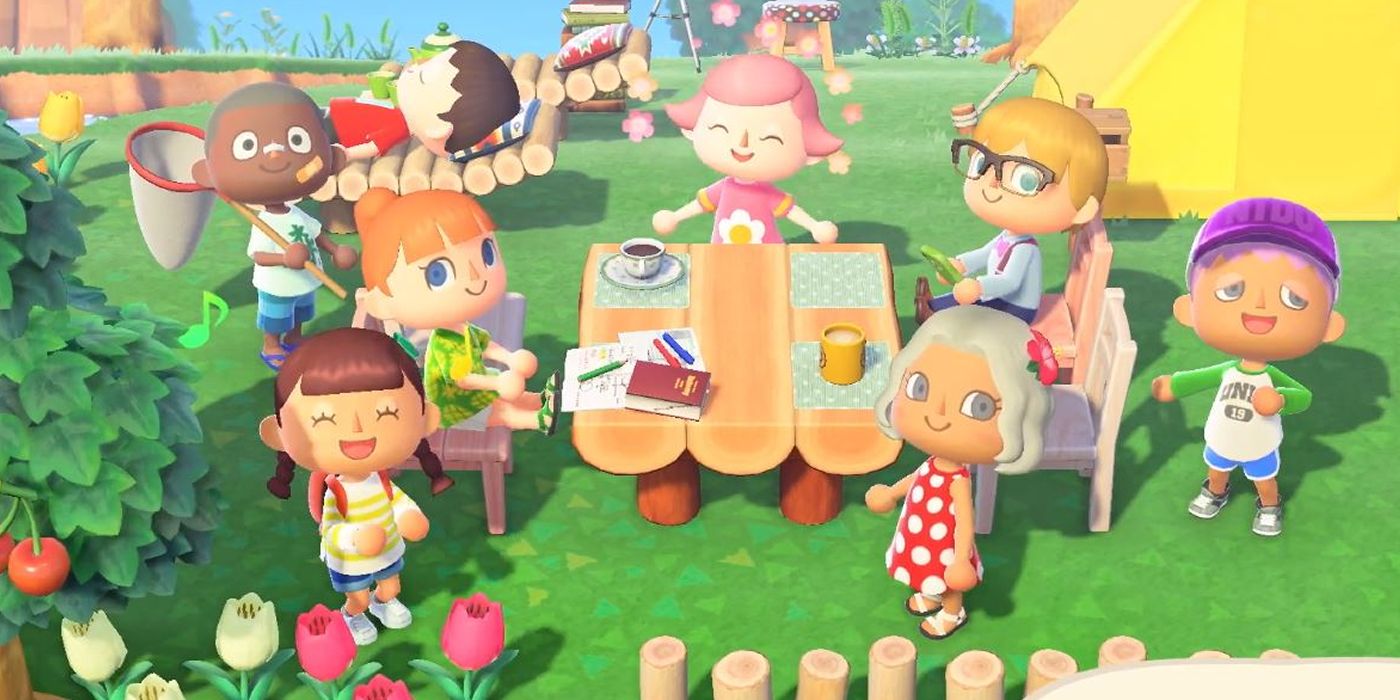 Animal Crossing Unspoken Rules For Visiting Islands & CoOp