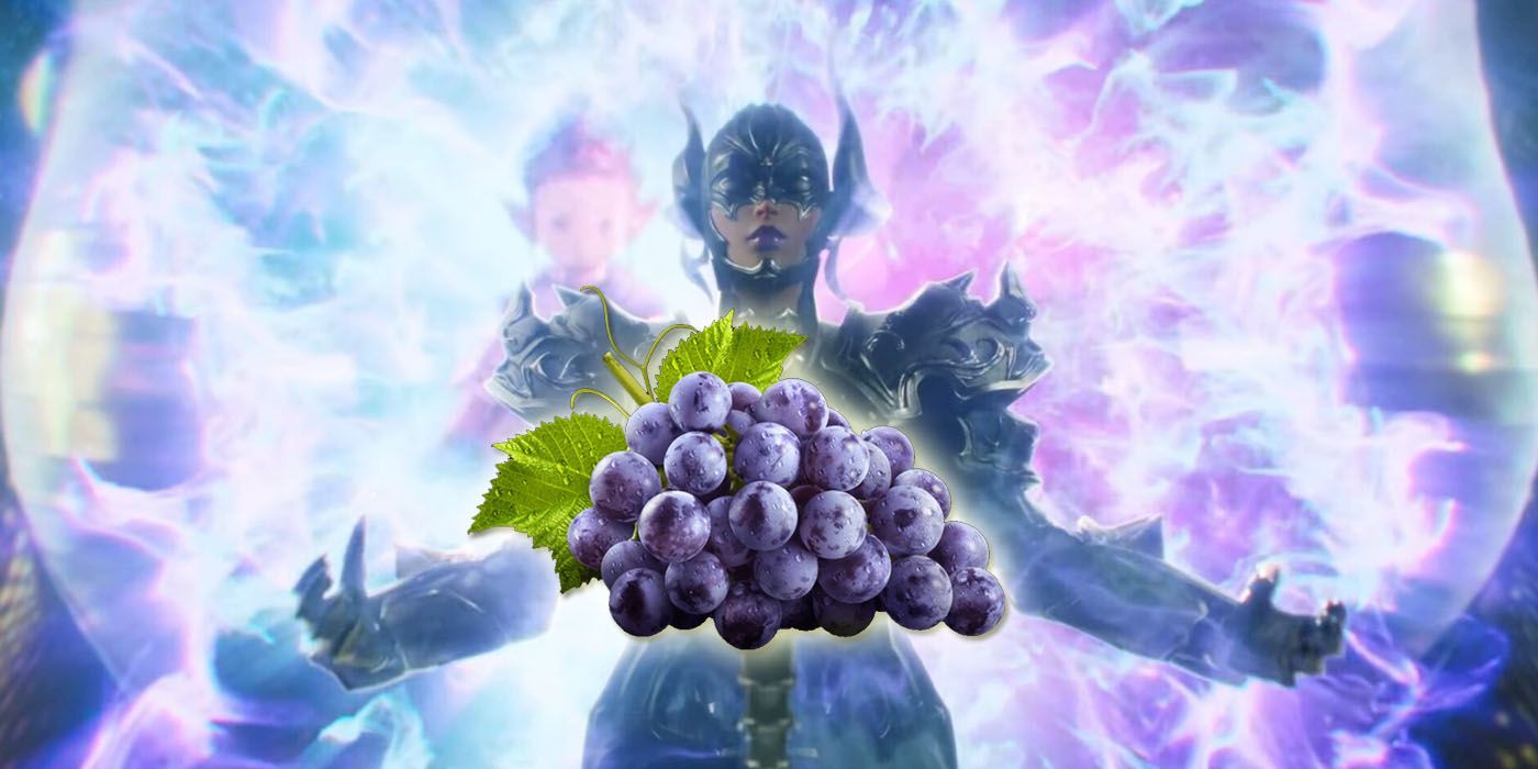 Final Fantasy XIV Players Are Making Fun Of Endwalker’s Weird Grapes