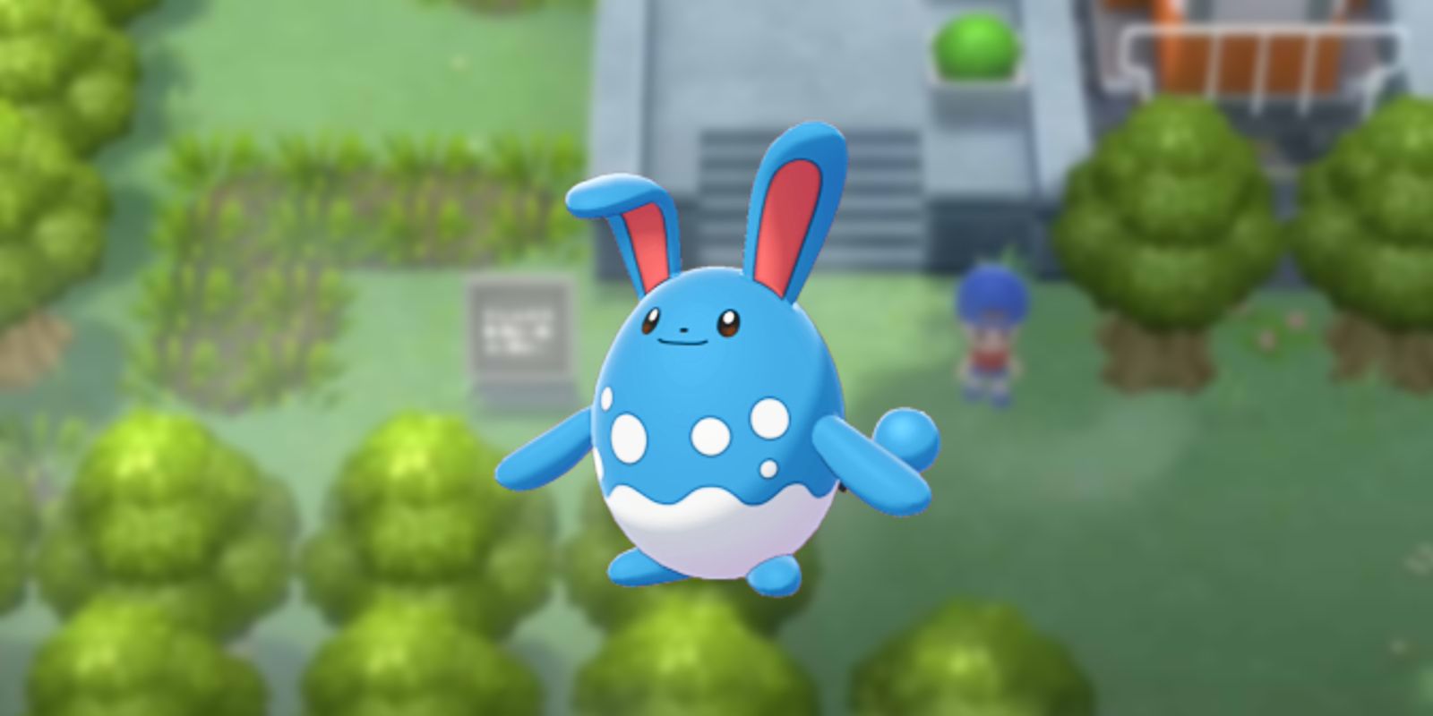 How To Get Azumarill in Pokémon BDSP