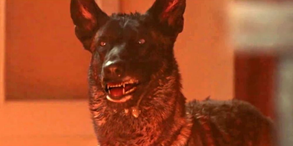 10 Awesome Animal Horror Films On Shudder Right Now